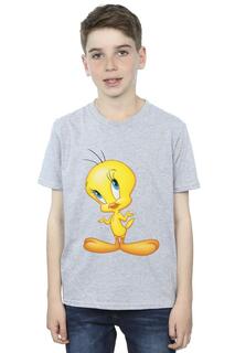 Футболка Tweety Standing Looney Tunes, серый