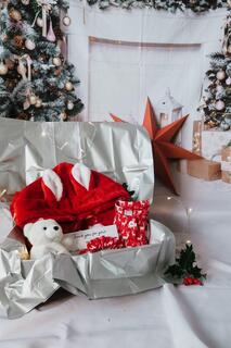 Рождественская толстовка с капюшоном Red Fox и ночная рубашка с изображением северного оленя и плюшевым мишкой белого медведя Fox In A Box, красный