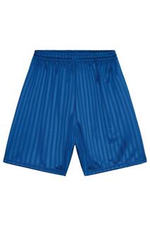Полосатые спортивные шорты Shadow CityComfort, синий