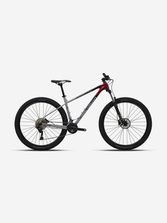 Велосипед горный Polygon Xtrada 5 27,5", Серый