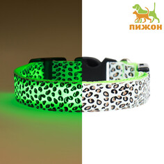 Ошейник с подсветкой леопард 3 режима свечения, размер l, ош 48-60 х 2,5 см зеленый Пижон