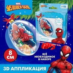 Аппликация 3d в шаре Marvel