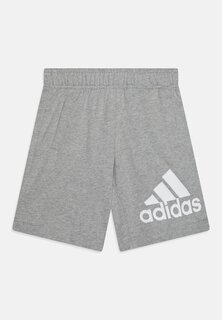 Спортивные шорты Unisex Adidas, цвет grey