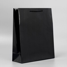 Пакет подарочный ламинированный, упаковка, black, m 24 х 29 х 9 см Доступные Радости