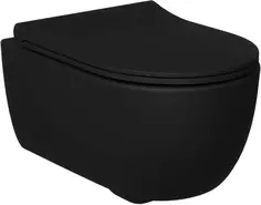 Унитаз подвесной Ambassador Abner 103T20201R-102T20201S безободковый, с сиденьем микролифт, черный матовый