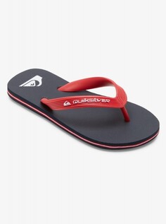 Детские сланцы Molokai Core Quiksilver