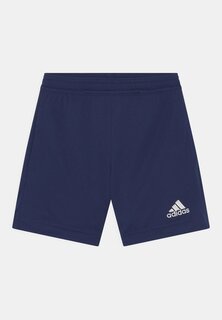 Спортивные шорты Entrada 22 Unisex Adidas, цвет team navy blue
