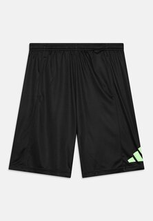 Спортивные шорты Logo Unisex Adidas, цвет carbon/semi green spark