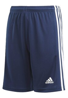 Спортивные шорты Team Adidas, цвет team navy blue white