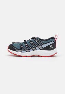 Кроссовки для походов Xa Pro V8 Unisex Salomon, цвет stormy weather/zen blue/goji berry