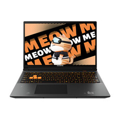 Игровой ноутбук Colorful Meow R15, 15.6&quot;, 16 ГБ/1 ТБ, R7-7735H, RTX 4060, оранжевый/черный, английская клавиатура