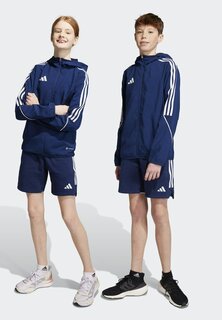 Шорты Tiro 23 League Adidas, цвет team navy blue