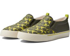 Кроссовки COACH Printed Pebble Slip-On Skate, цвет Army Green