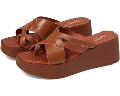 Туфли Seychelles Rock Steady, цвет Cognac Leather