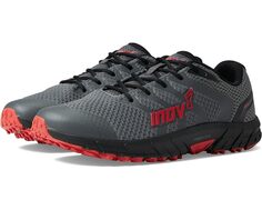 Кроссовки inov-8 Parkclaw 260 Knit, цвет Grey/Black/Red