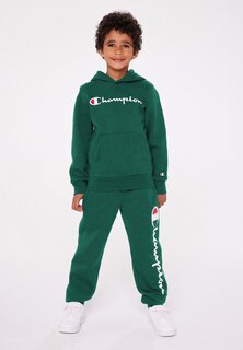 Толстовка ICONS HOODED Champion, цвет dark green