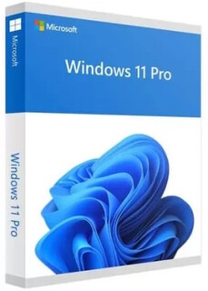 ПО (комплект) ОЕМ Microsoft Windows Pro 11 64Bit OEI DVD
