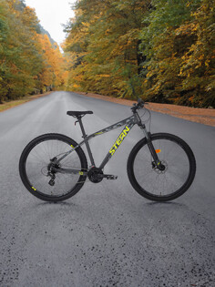 Велосипед горный Stern Force 1.0 alt 29" 2024, Серый