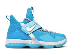 Кроссовки Nike Lebron 14 Gs &apos;The Nature Boy&apos;, синий