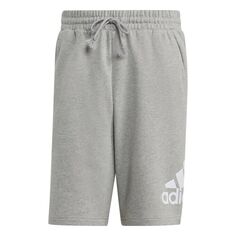 Шорты Essentials с большим логотипом Adidas Sportswear, серый