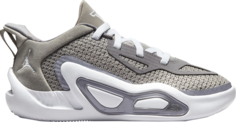 Кроссовки Jordan Tatum 1 PS &apos;Cool Grey&apos;, серый
