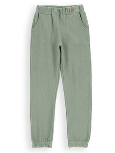 Спортивные брюки Coccodrillo, зеленый