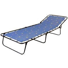 Кровати-раскладушки кровать раскладная Стандарт-Б 1950х650х260мм без матраса