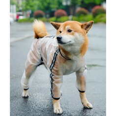 Дождевик-комбинезон для собак, р-р m (дс 30, ог 40, ош 31,5 см, вес 5-7 кг), прозрачный NO Brand