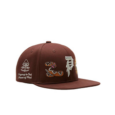 Badlands Snapback Primitive