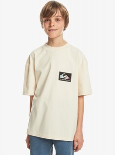 Детская футболка Back Flash (8-16 лет) Quiksilver