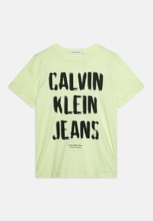 Футболка с принтом PIXEL LOGO RELAXED Calvin Klein Jeans, цвет exotic mint