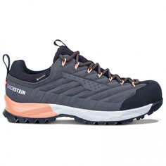 Мультиспортивная обувь Dachstein Women&apos;s SF 21 GTX, цвет Granite