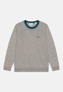 Свитер Essentials Unisex Lacoste, цвет silver chine/multi-coloured