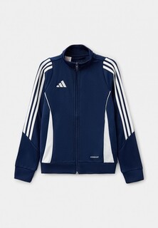 Олимпийка adidas TIRO24 TRJKTY