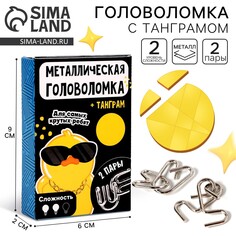 Металлическая головоломка Puzzle