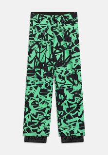 Брюки для сноуборда Hammer Printed Pants Unisex O&apos;Neill, цвет green scribble Oneill