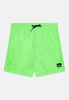 Шорты для плавания EVERYDAY SOLID VOLLEY Quiksilver, цвет neon green