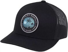 Мужская кепка Hurley Palm Trucker, черный