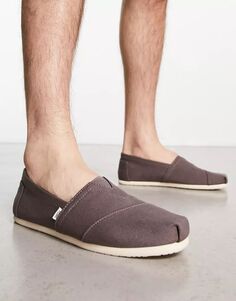 Серые эспадрильи Toms Alpargata