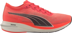 Кроссовки Puma Deviate Nitro Lava Blast, оранжевый