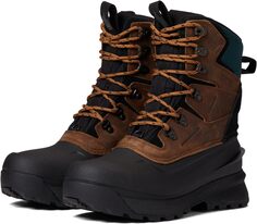 Зимние ботинки Chilkat V 400 Waterproof The North Face, цвет Toasted Brown/TNF Black