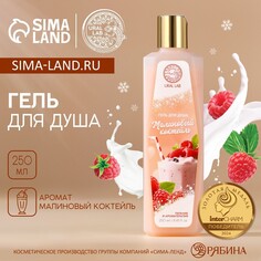 Гель для душа, 250 мл, аромат малинового коктейля, aroma sound by ural lab