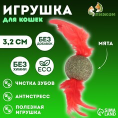 Игрушка для кошек из прессованной кошачьей мяты Пижон