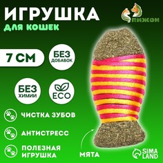 Игрушка для кошек из кошачьей мяты Пижон