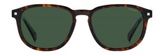 Солнцезащитные очки в оправе из ацетата Polaroid Sunglasses PLD 4117/G/S/X Гавана