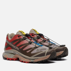 Мужские кроссовки Salomon Advanced XT-4 OG