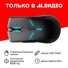 Игровая мышь Thunderobot ML702 SE Black (JT00FJ000RU) ML702 SE Black (JT00FJ000RU)