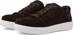 Кроссовки Evolve EH Comp Toe Volcom, цвет Dark Brown