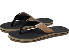 Сандалии Rip Curl Oxford Open Toe Sandal, цвет Black/Tan